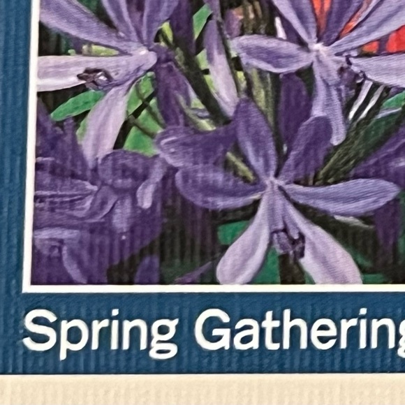 āSpring Gatheringā Master Pieces jigsaw puzzle - Audubon - 1000 pieces - Picture 4 of 6